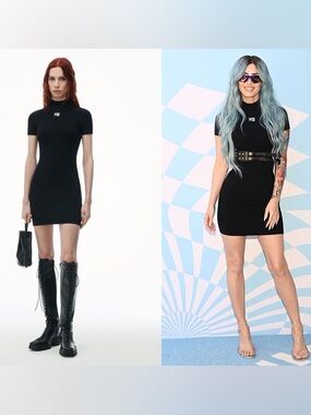 Like new Alexander Wang Bodycon Mini Dress in Knit XS $350